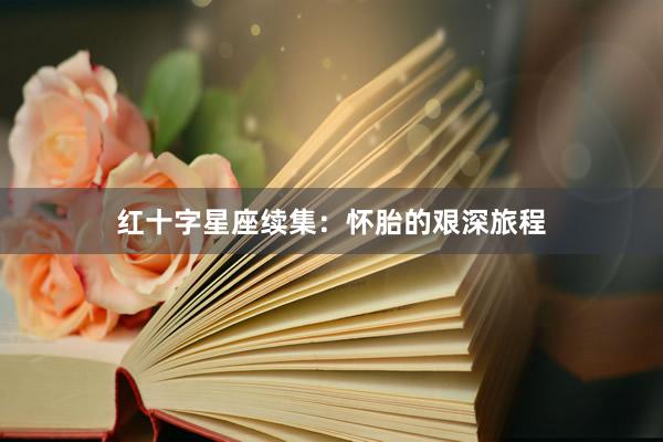 红十字星座续集：怀胎的艰深旅程