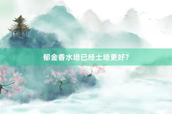 郁金香水培已经土培更好？