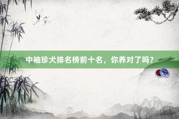 中袖珍犬排名榜前十名,你养对了吗?