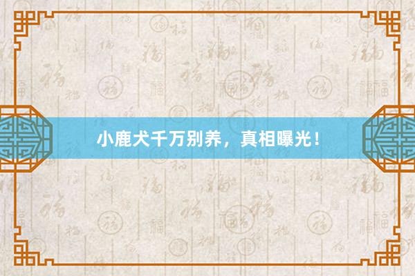 小鹿犬千万别养，真相曝光！