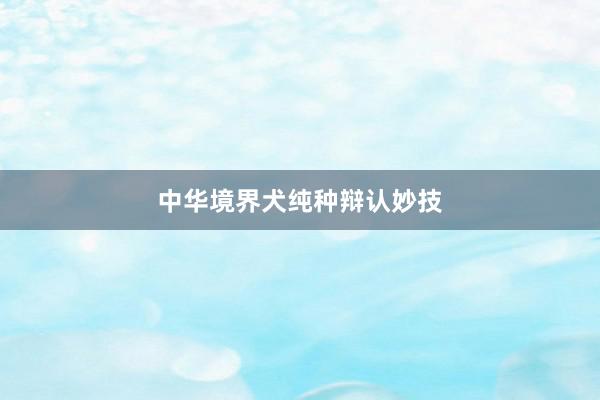 中华境界犬纯种辩认妙技